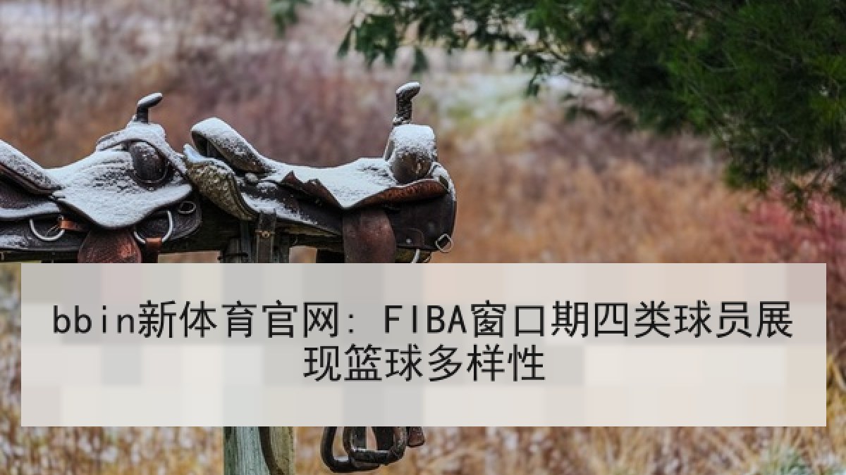 bbin新体育官网: FIBA窗口期四类球员展现篮球多样性