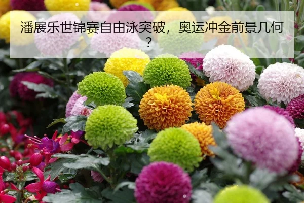 潘展乐世锦赛自由泳突破，奥运冲金前景几何？