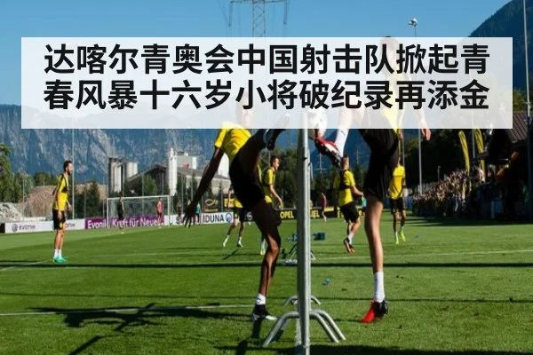 达喀尔青奥会中国射击队掀起青春风暴十六岁小将破纪录再添金